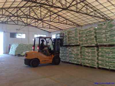 港口镇南朗民众东凤镇到中山民众镇回程车运输服务