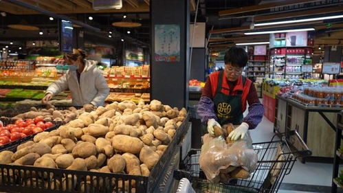 天祝东坪洋芋闯商超 供销合作谱写薯类销售新篇章