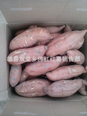 电烤红薯新风尚 雄县双堂乡伟红红薯销售部长期专业供应