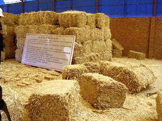 从田间到餐桌 薯类加工与销售的新机遇