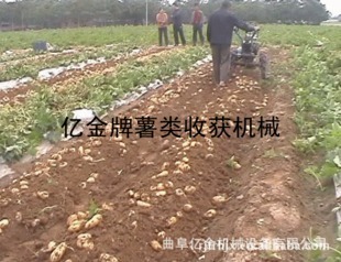高产快速薯类收获机专业制造与销售