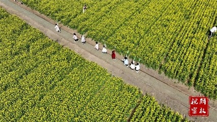 薯香飘千里 2025年焦作市麦田里田园综合体项目引领薯类销售新篇章