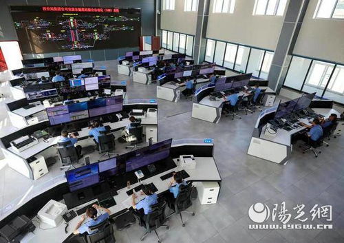 安康东站拓展多种运输方式，以高效便捷服务助力地方经济发展